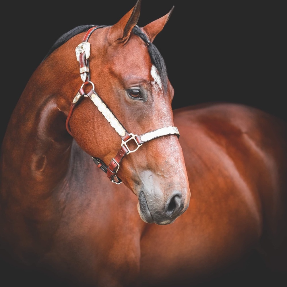 Meet your Posher, Dani